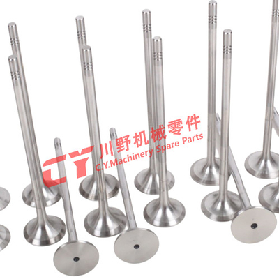 Excavator  Engine D13F Valve / Valve Guide / Valve Seat Parts
